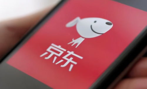 京東關(guān)聯(lián)企業(yè)布局?jǐn)?shù)字科技新領(lǐng)域，動漫動畫設(shè)計及數(shù)據(jù)處理成新增長點