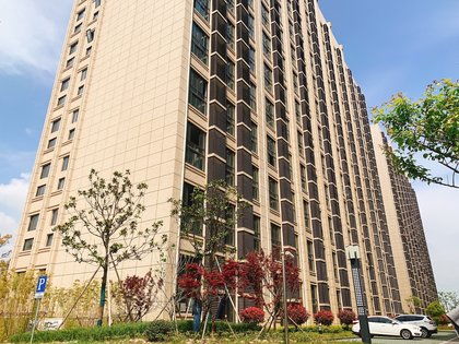 濱海之星優(yōu)點(diǎn) 不足,濱海之星怎么樣,濱海之星周邊房產(chǎn)中介經(jīng)紀(jì)人評價(jià) 上海安居客