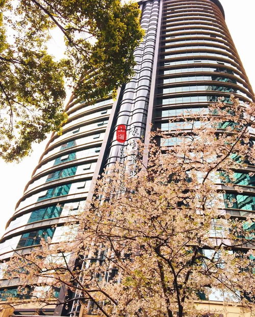 南京西路商圈 王子晶品 270 圓弧形景觀大宅 建面約288平 4200萬