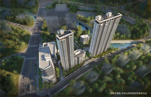 競速‘雙碳’賽道，招商蛇口上海公司勇做綠色革新者